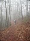 The Smoky Mountain Hiker